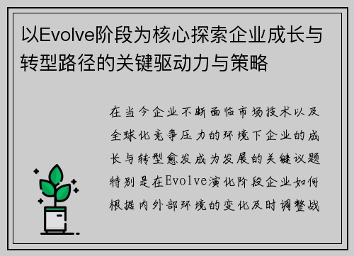 以Evolve阶段为核心探索企业成长与转型路径的关键驱动力与策略